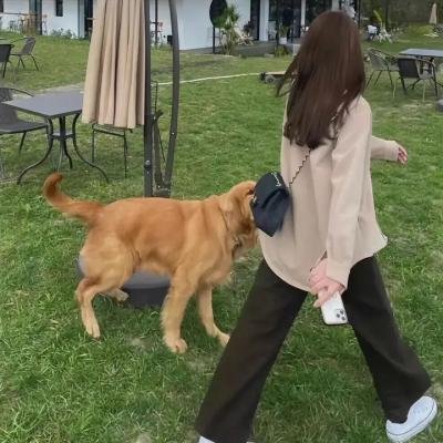 快跑或飞翔